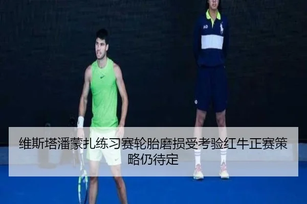 维斯塔潘蒙扎练习赛轮胎磨损受考验红牛正赛策略仍待定